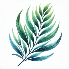Obraz premium A willow leaf with a slender shape in the watercolor style. 