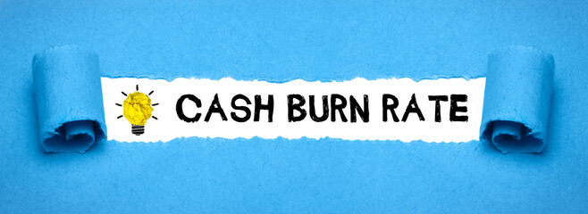 Cash Burn Rate