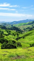 Rolling Green Hills and Blue Sky.
