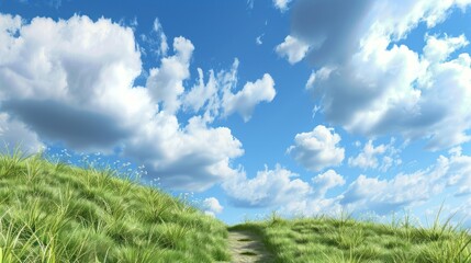 Obraz premium Green Grass Path leading towards Blue Sky with Clouds.