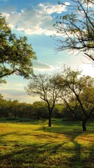 Fototapeta premium Tranquil Meadow with Silhouetted Trees.