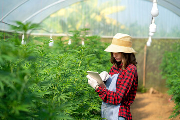 smart caucasian farmer checking weed plant holding tablet in greenhouse. caucasian female agricultural analyze weed row using technology. caucasian gardener woman collect weed plant data using tablet