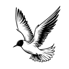 Obraz premium seagull bird