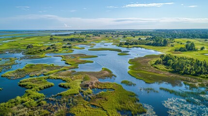 Highlight an aerial view of wetlands with a focus on the diverse flora and fauna thriving in the brackish waters
