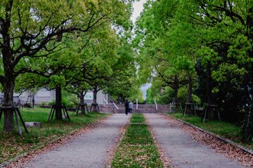 footpath in the park