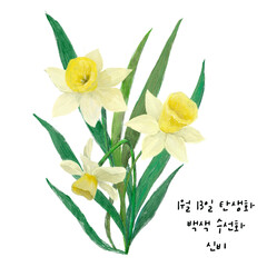  1월13일탄생화 백색수선화