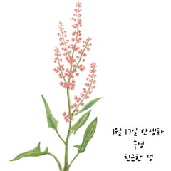  1월17일탄생화 수영