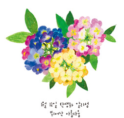 1월 12일 탄생화 향기알리섬