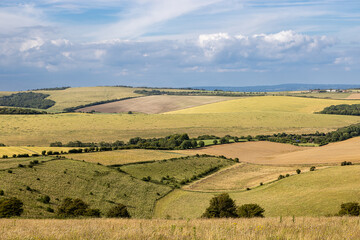 Fototapeta premium A rolling Sussex landscape with patchwork fields on a sunny day
