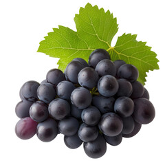 Fototapeta premium A cluster of juicy grapes with a few leaves on transparent background