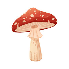 Fly mushroom on white background. Poisonous forest mushroom. Vector icon