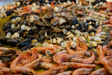 street food international street food fairs with cuisines from all over the world tastings of international food