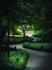 Shot with Panasonic LUMIX S5,20240721,HangZhou,China