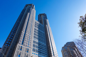 Obraz premium 青空にそびえる東京都庁舎（東京都新宿区）