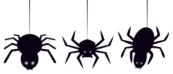 Spider. Spider insect illustration. Design elements for decoration for the Halloween holiday.