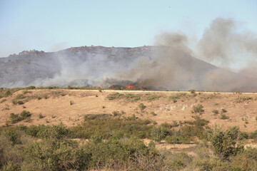 Forest Fire: The Devastating Impact of Burning Woods and Smoke in the Air.