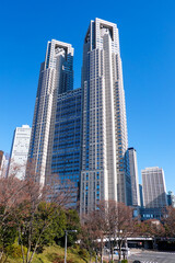 Fototapeta premium 青空にそびえる東京都庁舎（東京都新宿区）
