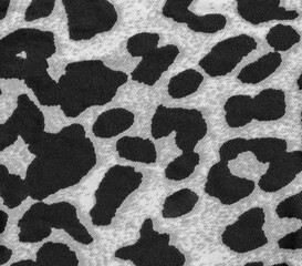 tiger print close up