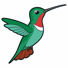 Broad-tailed Hummingbird Art vector illustration