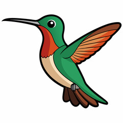 Broad-tailed Hummingbird Art vector illustration