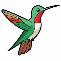 Obraz premium Broad-tailed Hummingbird Art vector illustration
