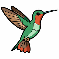 Obraz premium Broad-tailed Hummingbird Art vector illustration