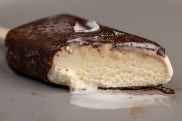 delicious creamy ice cream in chocolate glaze on a plate