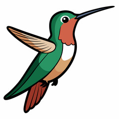 Obraz premium Broad-tailed Hummingbird Art vector illustration