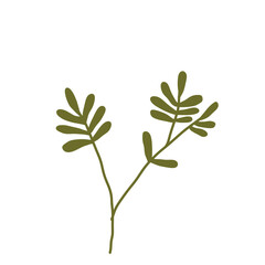 Autumn Green Leaf