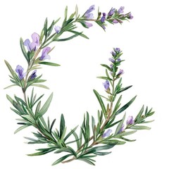 Fototapeta premium Rosemary frame lavender blossom herbal.