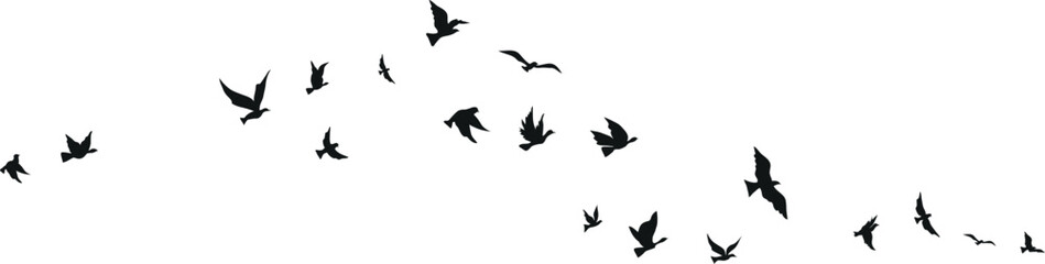 Flying birds silhouette set clipart isolated on white background