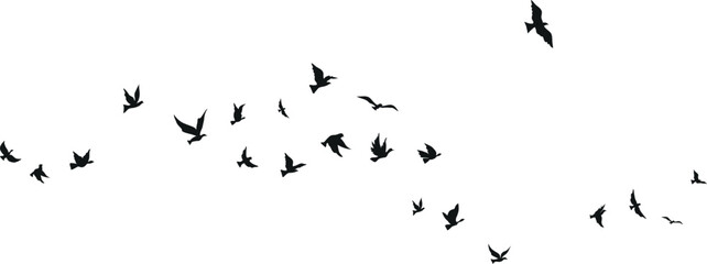 Flying birds silhouette set clipart isolated on white background