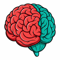 The brain, engraved illustration. white background