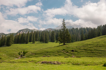 Breathtaking Mountain Landscape With Lush Green Meadows Under a Partly Cloudy Sky