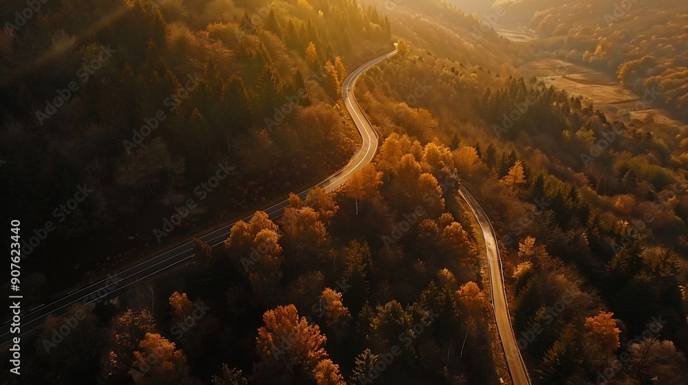 Poster aerial view of mountain road in forest at sunset in autumn top view from drone of road in woods beau