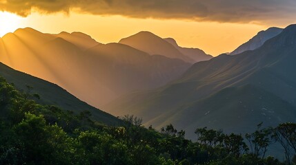 Naklejka premium Outeniqua Mountains during a golden sunset George Garden route South Africa : Generative AI