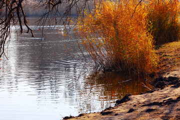 Tranquil lake surrounded by nature in autumn, reflecting on the calm scenery