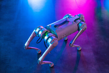 Quadruped dog robot for help and guidance with autonomous technology.	

