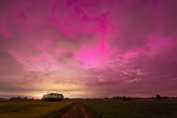 Breathtaking Aurora Borealis Over Lush Fields With Vibrant Purple Clouds at Dusk