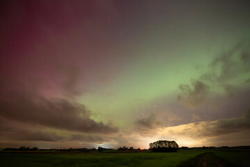 Auroras Dance Above an Open Field Under a Starlit Sky at Dusk