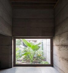 window with green leaves