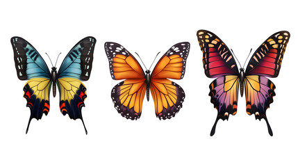 Naklejka premium Different colorful realistic butterfly vector illustration on transparent background