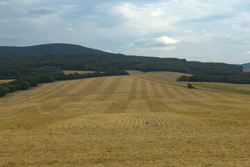 Obraz premium the view of the dry fields after the harvest
