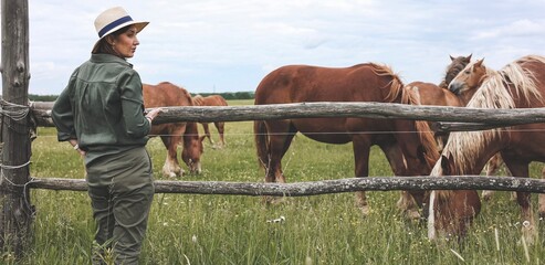 Beautiful woman looking and makimg photo of heavy draft horse, horses with foals grazing in a meadow. A beautiful animal in the field in summer. A herd of horses in nature. Using technology. Banner.