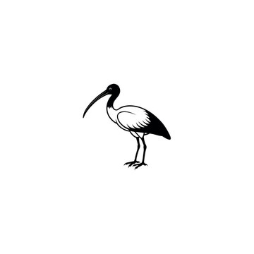 recommend clip art:  ibis silhouette