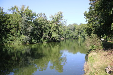 Fototapeta premium Calm Waters: A Tranquil Scene of Nature