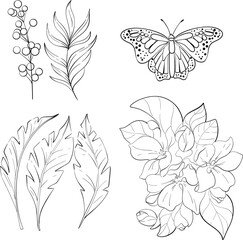 Vector set - butterfly monarch, palm leaves. Bright flower. Vintage elegant clipart. Spring and tropical cartoon butterfly. Isolated. Black silhouette for circuit