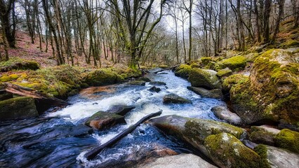 Golitha Falls in Cornwall on a cold February day in 2023