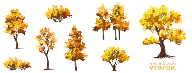 Vector forest with grass elevation for landscape scene,watercolor plant for architecture drawing, environment and garden,botanical elements ,blooming tree in autumn 