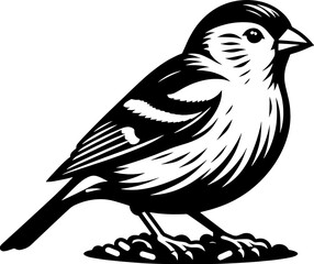 Purple Finch icon 1